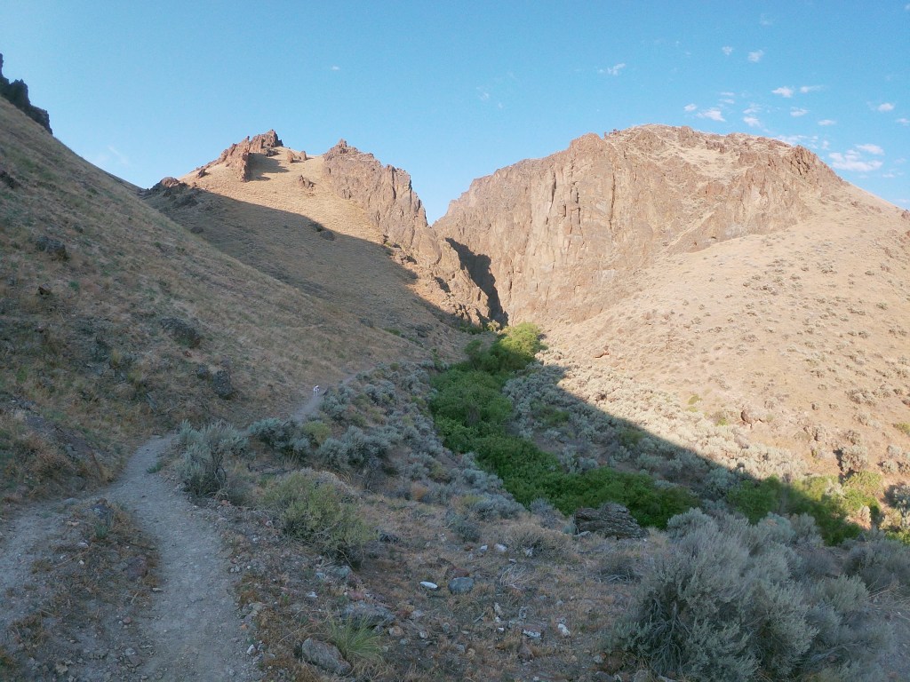 5 Reasons you have to Incorporate Trail Running in your&nbsp;Training