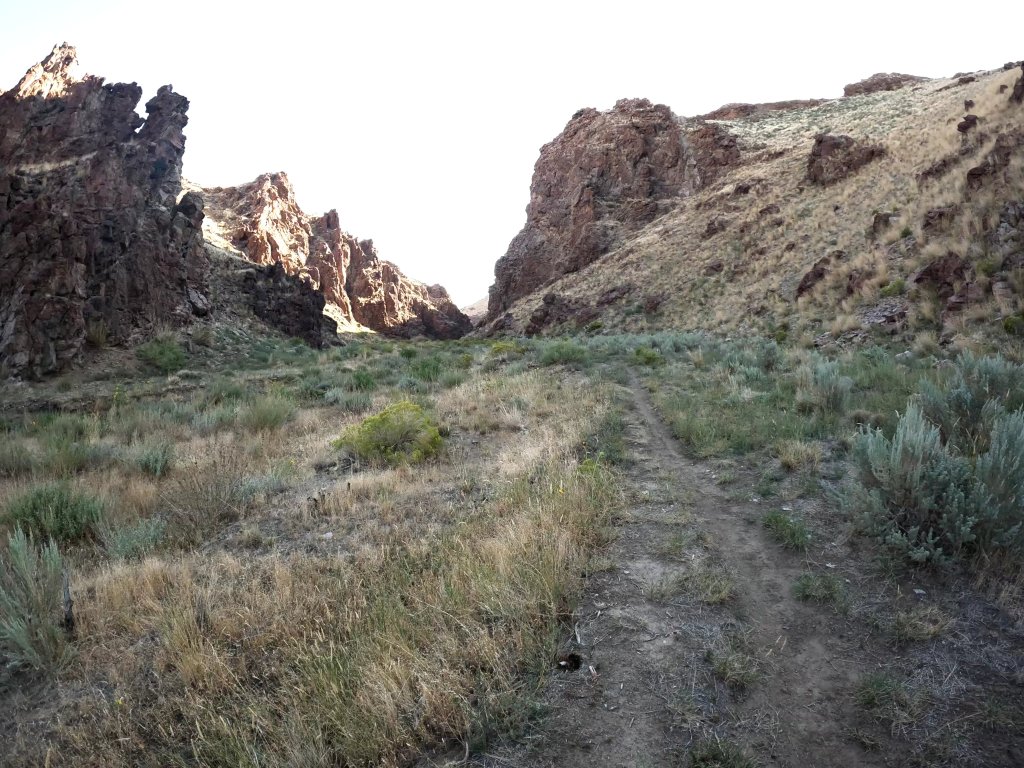 Trail Running: 4 Tips when Choosing Trails to Run&nbsp;on.